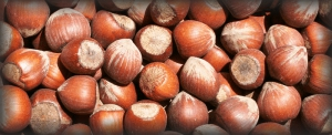 hazelnut