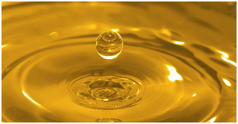 foreign trade company