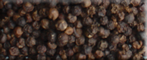 Black pepper