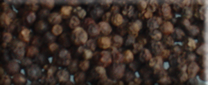 Black pepper