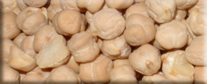 Chickpea