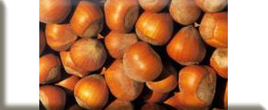 Hazelnut