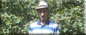 Hazelnut