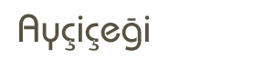 başlık