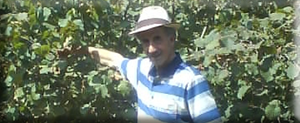 Fındık