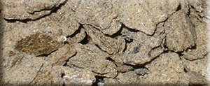 Küspe