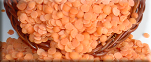 Mercimek