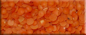 Mercimek