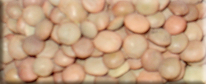 Mercimek