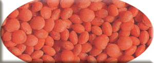Mercimek