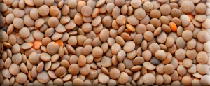 Mercimek