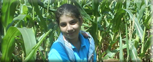 Mısır