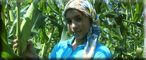 Mısır