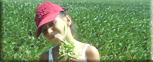 Soya fasülyesi