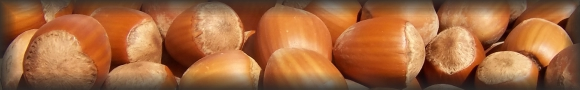 fındık
